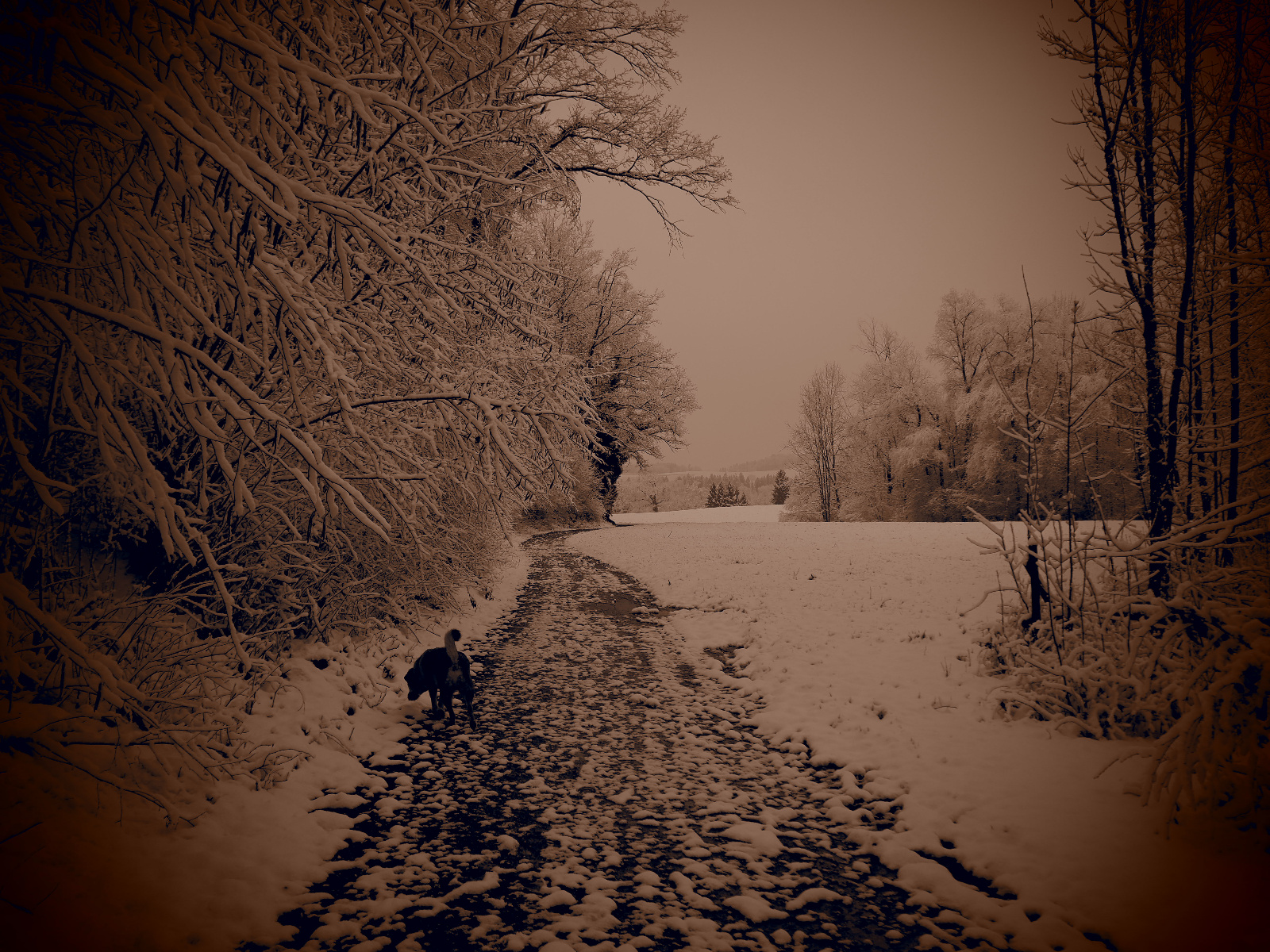 Fortsetzung der Entscheidung